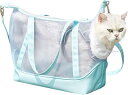 Rurumi 猫 犬 うさぎ ペット キャリーバッグ 顔出し ソフト クレート 小型犬 キャリーケース ショルダー 型掛け バッグ 軽量 折りたたみ メッシュ 旅行 通院 外出 (ミントグリーン)