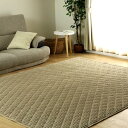 Freely カーペット ラグ 厚手 ラグマット 極厚18mm 絨毯 2.5畳 カーペット200×200cm 滑り止め付き 防音 洗える 清掃が簡単 手触りが柔らかいの特徴がある 防ダニ 抗菌 防臭 ホットカーペット対応