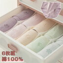 【期間限定!15%OFF発行中】6点セット ショーツ 綿100% レディース セット かわいい レース ショーツ 深ばき 下着 ショーツ 無地 女性 6点セット...