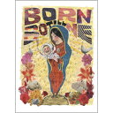 ≪30%OFF≫≪1万円以上の購入で送料無料≫SNOWBOARD DVD【BORN TILL BONE】AFROSTER FILMS