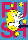 ≪30%OFF≫≪1万円以上の購入で送料無料≫SNOWBOARD DVD【PUSH】ACT PICTURES