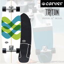 CARVER カーバー SKATEBOARD スケートボード SURFSKATE サーフスケート SIGNAL シグナル 31インチ コンプリート CX4トラック 正規品