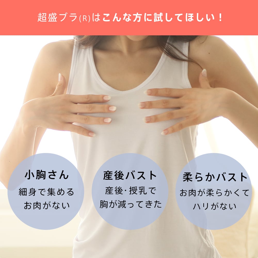 【新春セール 特別価格】ブラジャー 超盛ブラ(R) 単品ブラジャー (下着 レディース 女性 ブラ 盛り シームレス 盛ブラ 盛りブラ 谷間 盛れるブラ ベージュ 超盛りブラ Tシャツブラ 大きいサイズ 脇肉 脇高ブラ 黒 寄せ 上げ かわいい ひびきにくい)