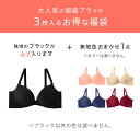 【3枚組 送料無料】ブラジャー 福袋 超盛ブラ(R) 3枚入福袋 (下着 産後 レディース 女性 バストアップ 谷間 シームレス Tシャツブラ 盛れるブラ 超盛りブラ 脇高ブラ ブラ かわいい下着 ランジェリー ハッピーバッグ 小胸 脇肉 贅肉 3点 盛れる バスト 黒 ブラック 可愛い) 2