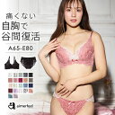 【セール 特別価格】ブラジャー 脇肉 カシュクールレース 脇高ブラ(R) ブラジャー&ショーツ(女性 下着 レディース 脇高 ブラジャー ショーツ セット ブラセット 谷間 ブラ かわいい ブラショーツセット かわいい下着 ブラショーツ 育乳ブラ いくにゅうぶら パンツ 可愛い 補