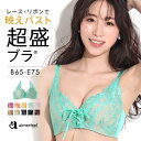 【30％OFFクーポン】盛りブラ プリンセスバスト 超盛ブラ(R) 単品ブラジャー(下着 レディース 盛ブラ 谷間 盛れるブ…