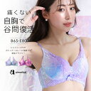 ブラジャー 脇肉 シャイニーグラデ カシュクールレース 脇高ブラ(R) 単品ブラジャー(下着 レディース 女性 ブラ 谷間 寄せ 上げ 脇高ブラ かわいい下着 はみ肉 脇高ブラジャー 単品 レースブラ 花柄 カシュクール 可愛い レース 脇高 産後 補正ブラ セクシー パッド付き)