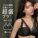 【30％OFFクーポン】ブラジャー Sexy Up ハーフカップ 超盛ブラ(R) 単品ブラジャー(下着 レディース 女性 盛ブラ 谷間 脇高 脇肉 脇高ブラ セクシー ブラ ランジェリー ハーフカップブラ 超盛りブラ かわいい 可愛い下着 レースブラ 谷間メイクブラ 盛りブラ 1/2カップ 可愛