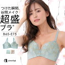 【30％OFFクーポン】盛りブラ リノフラワー 超盛ブラ(R) 単品ブラジャー(下着 レディース 女性 盛ブラ 谷間 脇高 脇…