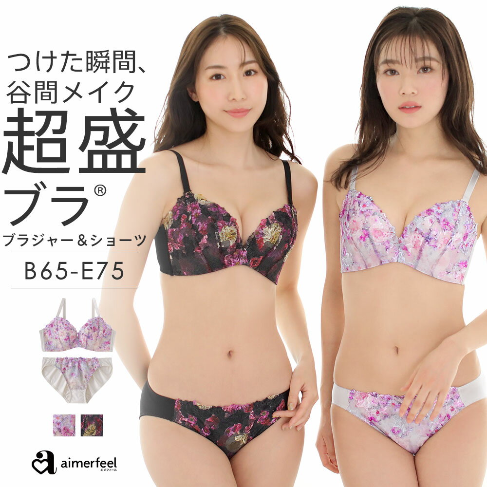 【クーポンで半額】ブラジャー ショーツ セット ブルームレース 超盛ブラ(R) ブラジャー&ショーツ(下着 レディース 脇高ブラ 盛ブラ 女性 脇肉 脇高 背肉 谷間 可愛い ブラショーツ ブラセット セクシー 超盛りブラ レース 花柄 刺繍 パンティー スッキリ 上下 盛り 盛れるのサムネイル