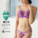 福B【30%OFFクーポン】ブラジャー ショーツ セット デコルテクロス ブラジャー&ショーツ(下着 レディース ブラ 女性 ブラショーツ 谷間 パンティ 下着...