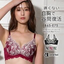 【週末限定クーポンで半額】ブラジャー Queen カシュクールレース脇高ブラ(R) 単品ブラジャー(下着 レディース 女性 …