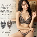 【30%OFFクーポン】ブラジャー ショーツ セット レオパード カシュクールレース脇高ブラ(R) ブラジャー&ショーツ(下着 レディース 女性 ブラショーツ ...