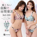 【GW限定!クーポンで半額】ブラジャー ショーツ セット ヘイジーフラワー カシュクールレース脇高ブラ(R) ブラジャー&ショーツ(下着 レディース 女性 ブラ...