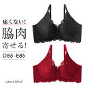 谷間 カシュクールレース脇高ブラ(R) 単品ブラジャー(D85/E85サイズ)(下着 女性 セクシー 脇肉 脇高 総レース 大きい 補正下着 補整 E85 D85 ブラジャー ブラ レディース レース 女性下着 ランジェリー 脇高ブラ 補整下着 かわいい)