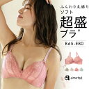 【週末限定クーポンで半額】ブラジャー Lace ソフト超盛ブラ(R) 単品ブラジャー(盛り 女性 下着 レディース 谷間 盛りブラ ブラ バストアップ 超盛り 盛ブラ レース 超盛ブラ かわいい下着 超盛 超盛りブラ 寄せ 上げ バスト 補正下着 ランジェリー 盛れるブラ)