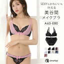 ブラジャー ショーツ セット シアーリュクス (R) ブラジャー&ショーツ(下着 レディース ブラ ブラセット ブラショーツ 谷間 盛りブラ 小胸 盛ブラ 盛れるブラ E70 E75 E65 C70 E80 ブラジャーセット かわいい下着 l字ワイヤー 上下 パンツ ランジェリー