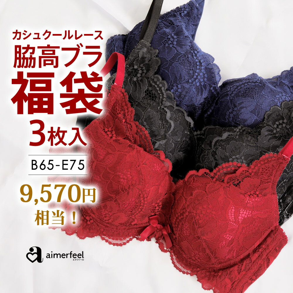 ブラジャー 福袋【送料無料】カシュクールレース脇高ブラ(R) 3枚入福袋 単品ブラ ブラジャー 育乳 下着 福袋 aimerfeel エメフィール 下着 レディース 女性 バストアップ 谷間 脇高ブラ 脇肉下着 福袋 産後 補整 いくにゅうぶら