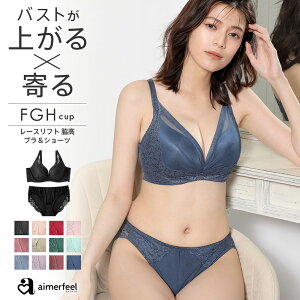 【セール 特別価格】大きいサイズ ブラジャー ショーツ セット レースリフト 脇高 ブラジャー&ショーツ(FGHカップ) (下着 ブラショーツ 脇肉 女性 レディース 補正ブラ 補正下着 脇高ブラジャー パンツ 谷間 寄せ 上げ ブラショーツセット 脇高ブラ 補整下着 大きい 可愛い