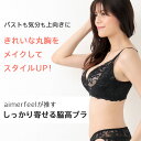 【セール 30％OFF】大きいサイズ ブラジャー ショーツ セット サイドパネル 脇高ブラ ブラジャー&ショーツ(FGHカップ)(下着 レディース 脇肉 脇高 背肉 セクシー 女性 ブラセット 谷間 ブラショーツ ブラショーツセット 補正下着 レース ランジェリー グラマー 可愛い下着 2