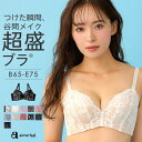 【期間限定 送料無料】盛りブラ 総レース 超盛ブラ(R) 単品ブラジャー(下着 レディース 女性 盛ブラ 谷間 脇高 脇肉 背肉 補正 脇高ブラ セクシー 単品...
