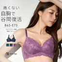 【期間限定 送料無料】ラメフラワー 脇高 単品ブラジャー (下着 レディース 女性 谷間 ブラ 脇高 脇肉 上品 キラキラ 刺繍レース セクシー かわいい下着 ...