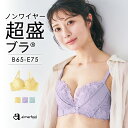 福A ブラジャー Beauty up ノンワイヤー 超盛ブラ(R)単品ブラジャー(下着 レディース ブラ 超盛りブラ 盛ブラ 盛れるブラ 谷間 脇肉 レース ワイヤレスブラ 単品 かわいい下着 花柄 可愛い ランジェリー ノンワイヤーブラ 盛る 小胸 ワイヤ バストアップ インナー 女性)