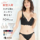 ブラジャー 大きいサイズ カシュクールレース 脇高ブラ (R) ショーツ セット(FGHカップ) ( 大きい 下着 レディース ブラジャーセット ブラショーツ 脇肉 谷間 ブラセット ショーツセット ブラ 女性 脇高 かわいい下着 パンティー グラマー グラマーサ