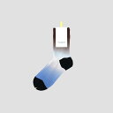 TRICOTEigRejGRADATION LINK SOCKS / Of[VN\bNX