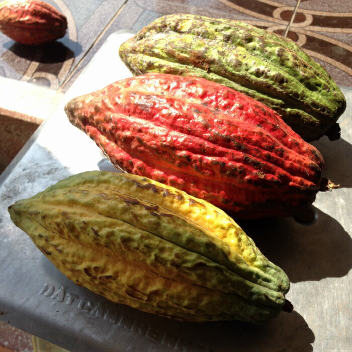 ★★日時指定宅配送料無料 無添加チョコギフト★★【大切な方への贈り物】ひと口チョコギフトボックス4種 40個★カカオ80％ビター10個★カカオ72％ビター10個★カカオ52％ミルク10個★カカオ42％抹茶ラテ10個★こだわりギフト/甘さ控えめ大人味