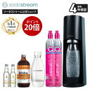 ≪スプリングセール 1) P20倍! 2) マシン代返金保証!≫ ソーダストリーム TERRA(テラ)スターターキット特別パッケージ ≪公式限定特典 最大4年の...