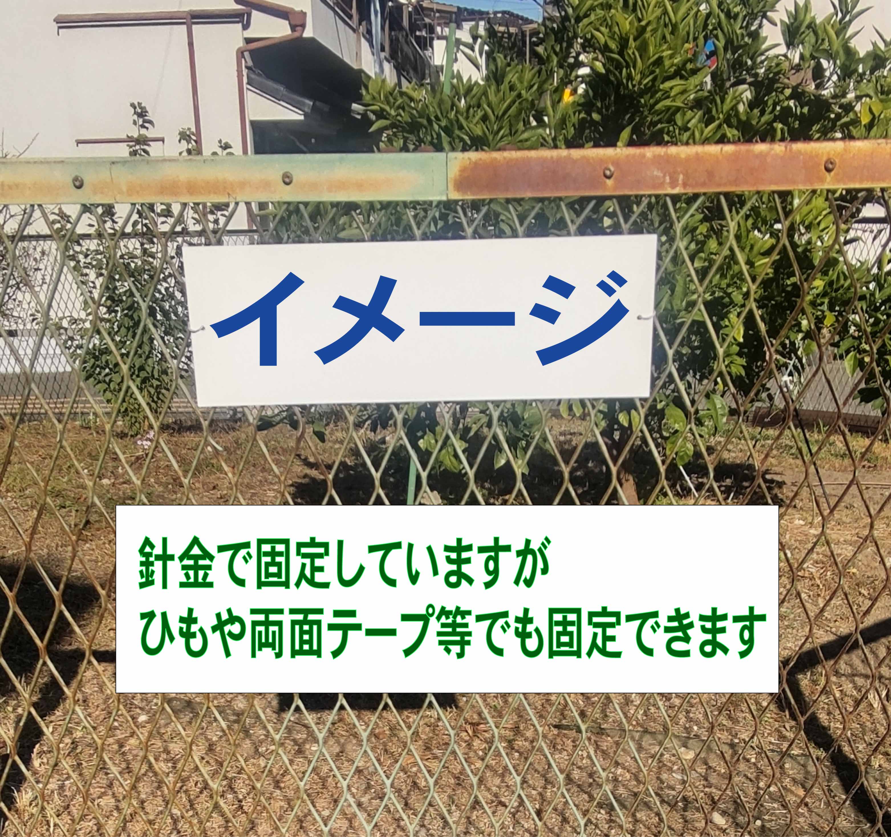 シンプル横型看板「音楽教室(青)」スクール・教室・塾 屋外可