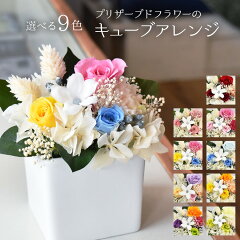 https://thumbnail.image.rakuten.co.jp/@0_mall/soelflowers/cabinet/04282354/cube_01.jpg