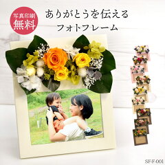 https://thumbnail.image.rakuten.co.jp/@0_mall/soelflowers/cabinet/05156855/sf-f-001-01.jpg