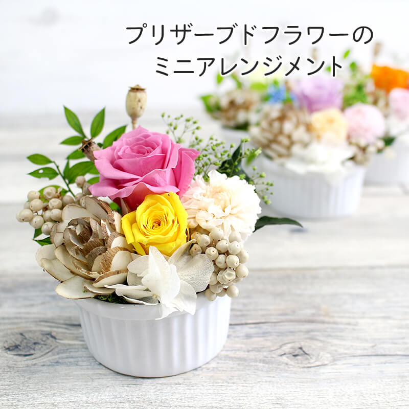 プレゼント プリザーブドフラワー 花 バラ カーネーション ミニ アレンジメント 薔薇 ローズ 告白 結婚記念日 記念日 誕生日 バースデー 長寿 送別 プレゼント ギフト フラワーギフト 贈り物 お祝い 父 母 夫 妻 祖父 祖母 彼女 女性 友達《 送料無料 》