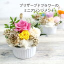 母の日 プレゼント プリザーブドフラワー 花 バラ カーネーション ミニ アレンジメント 薔薇 ロー ...