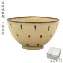 『GW限定SALEクーポン』おしゃれ 茶碗【美濃焼飯碗 二彩点打】おしゃれな食器 和食器 洋食器 カフェ 北欧 かわいい 大人 シンプル 日本製 美濃焼き ギフ...