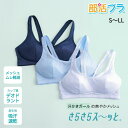 『全品SALEクーポン』部活ブラ ジュニア スポーツブラ さらさらス-ッと メッシュ 通気性 中学生 高校生 ガールズ 下着 レディース 女性用【ルシアン LECIEN】【23SFB429】