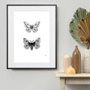 『全品SALEクーポン発行中』アート 絵 ポスター【Insect collection - B】※フレーム別売り 蝶々 昆虫 線画 ドローイング モノトーン イ...