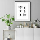 『全品SALEクーポン発行中』アート 絵 ポスター【Insect collection - C】※フレーム別売り 昆虫 線画 ドローイング モノトーン イラスト...