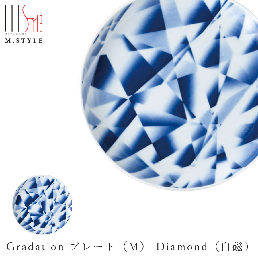 Infinity Gradation ץ졼ȡM Diamond򼧡ˡ19cm ƫ ͭľƤ Ĥ Ƥʪ  󥸡...