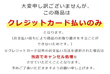 ※在庫有り※【50枚入り】立体三層マスク（白）当日発送 即納 日本国内認証済み ふつうサイズ 不織布 使い捨て 花粉 PM2.5 ほこり 99％カットフィルター 新型コロナウイルス対策 男女兼用 プリーツ 1DAY MASK【SOERU-ソエル-】