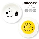 『GW限定SALEクーポン』【スヌーピー(フェイスアップ)小皿】食器 オシャレ 大人 かわいい プレゼント 日本製 SNOOPY キャラクター【金正陶器】