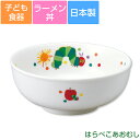 子ども食器【はらぺこあおむし・ラーメン丼】小さめどんぶり カラフルかわいい食器 レンジ&食洗機対応 ギフト・プレゼントにもおすすめ 出産祝い 誕生祝い【金正陶器...