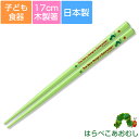 子ども食器【はらぺこあおむし・塗箸S】木製の17cmお箸 カラフルかわいいカトラリー ギフト・プレゼントにもおすすめ 出産祝い 誕生祝い【金正陶器】