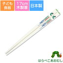 『SALEクーポン』子ども食器【はらぺこあおむし(ミルキー)塗箸S】木製の17cmお箸 ギフト・プレゼント(出産祝い 誕生祝い)にもおすすめ【金正陶器】