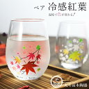 『全品SALEクーポン』丸モ高木 ペアグラス ギフト【冷感紅葉 フリーグラス ペアセット】色が変わる 正規品 贈り物 日本酒 お祝い 女子 男子 おしゃれ 来客...
