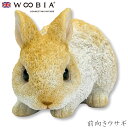 『全品SALEクーポン発行中』ウービア Woobia 【前向きウサギ】 (幅12cm×奥行7.5cm×高さ7.5cm)かわいい 置物 リアル 動物 おしゃれ イ...