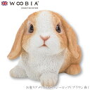『全品SALEクーポン発行中』ウービア Woobia 【お座りアメリカン・ファジーロップ(ブラウン白)】 (幅10.7cm×奥行7.7cm×高さ7.5cm)かわ...