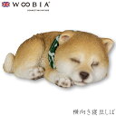 『全品SALEクーポン』ウービア Woobia 【横向き寝豆しば】 (幅8.8cm×奥行5.5cm×高さ4cm)犬 いぬ イヌ ドッグ dog かわいい 置物 リアル 動物 おしゃれ インテリア ガーデニング イギリス 人形 アニマルオーナメント ペット #4582756135480